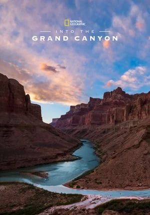 Into the Canyon                                2019